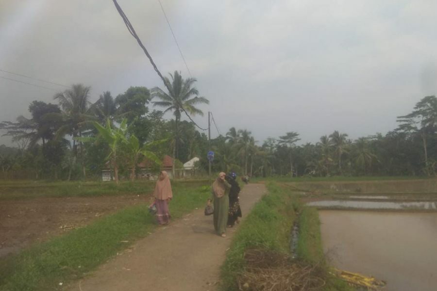 Jln