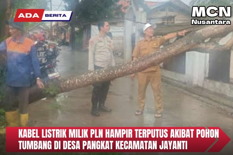 tumbangpohon