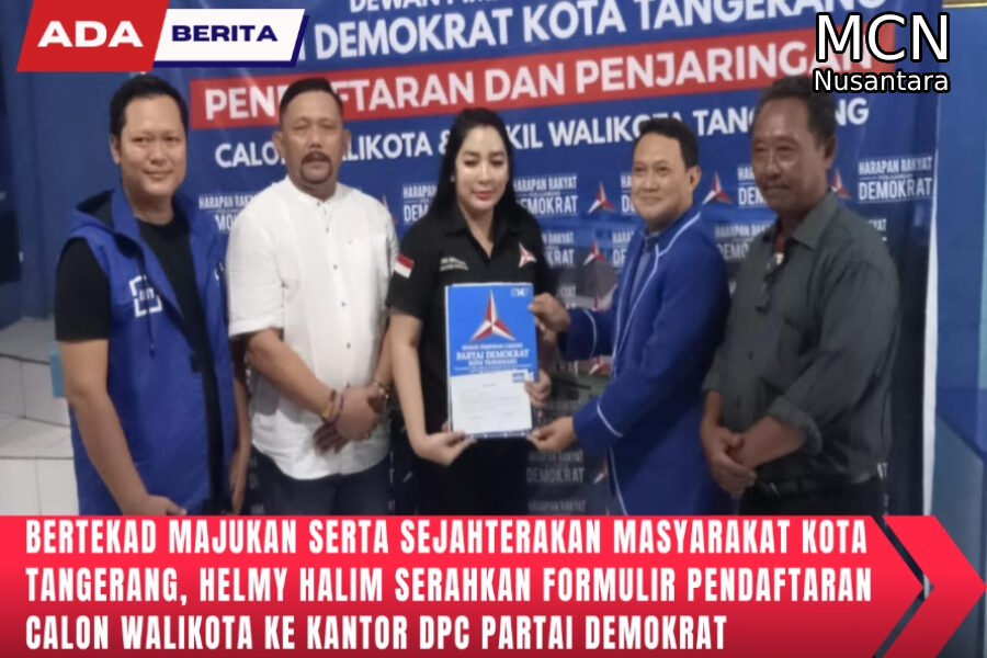 Dpc-demokrat