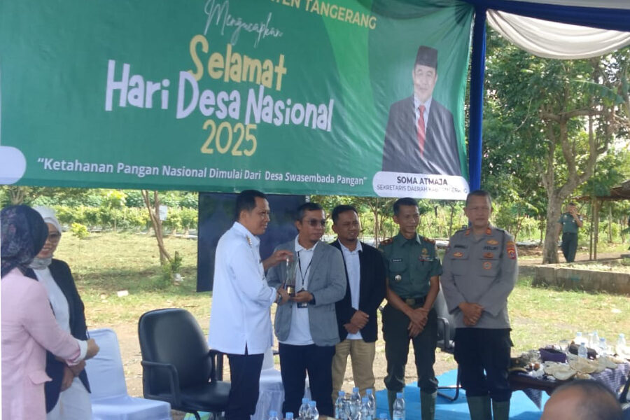 hadidesa