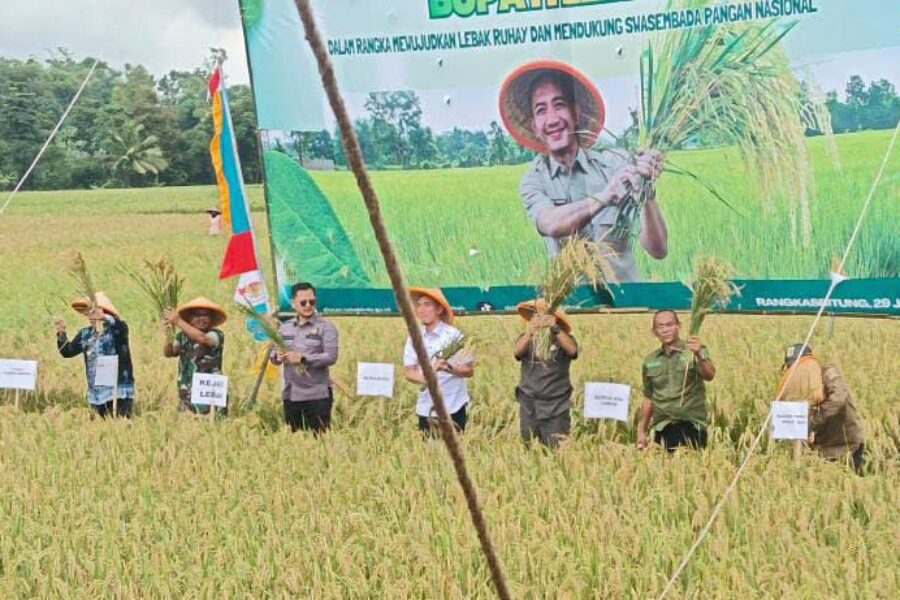 WhatsApp Image 2026-01-29 at 17.03.37