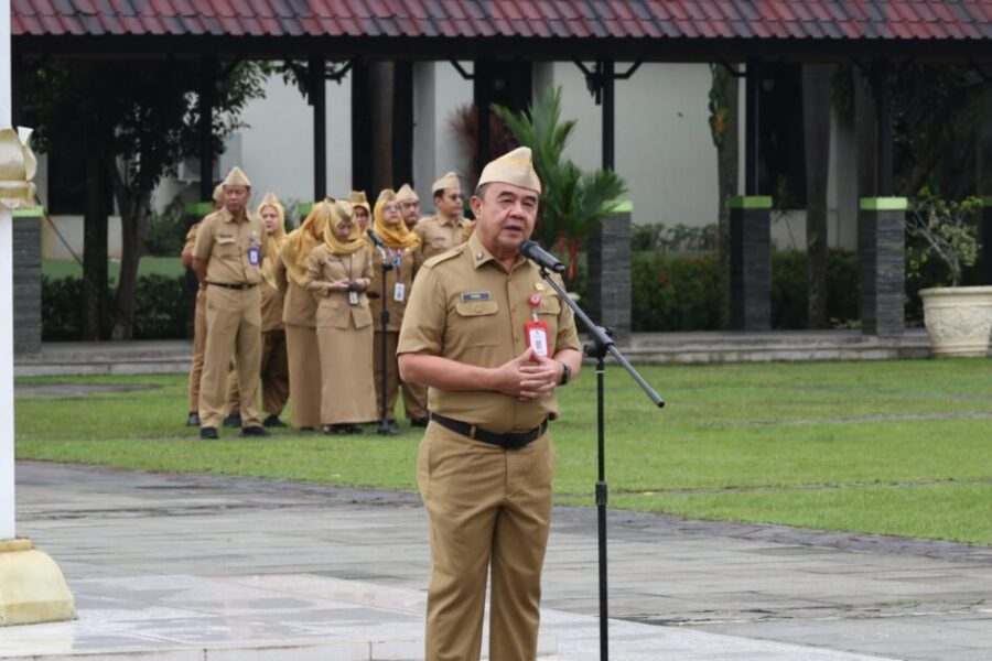 WhatsApp Image 2026-02-02 at 19.12.03