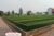 Oplus_131072