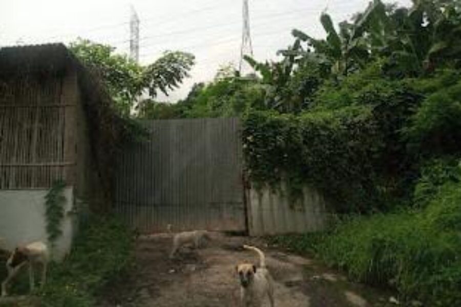 IMG-20260806-WA0155
