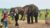 IMG-20260824-WA0077