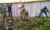 Oplus_131072